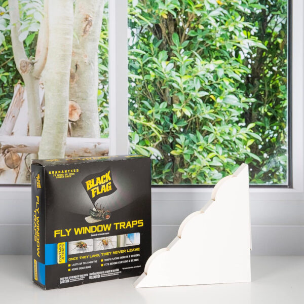 Black Flag Fly Window Trap 4pk Corner - Image 2