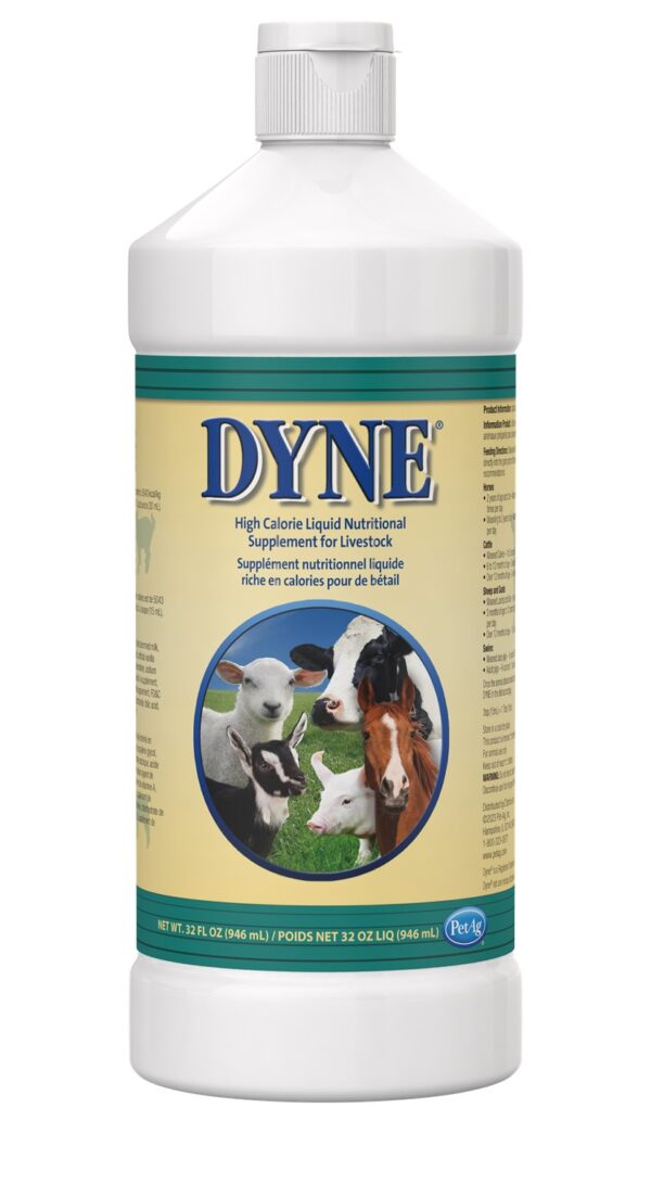 Dyne High Calorie Liquid Supplement for Livestock