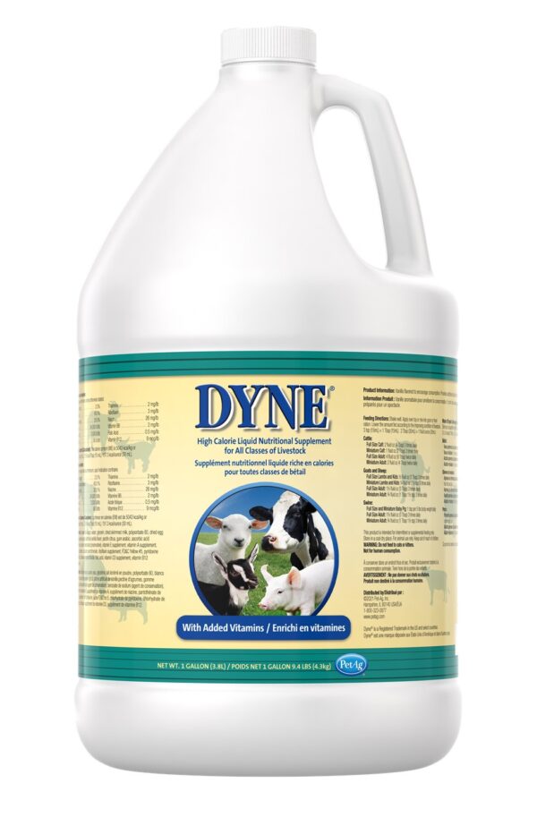 Dyne High Calorie Liquid Supplement for Livestock