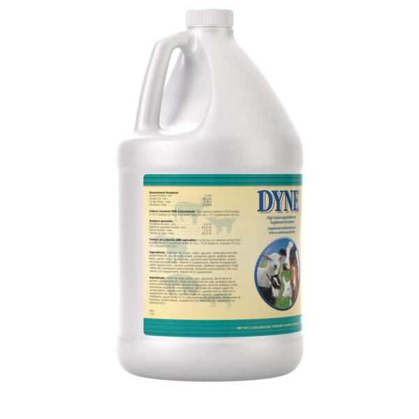 Dyne High Calorie Liquid Supplement for Livestock - Image 2
