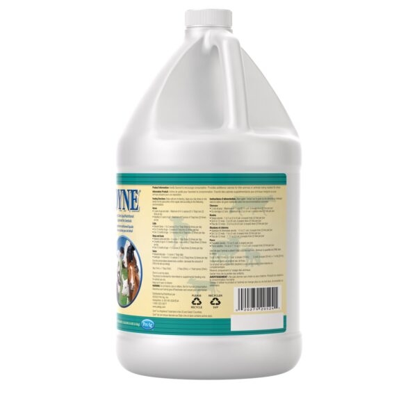 Dyne High Calorie Liquid Supplement for Livestock - Image 3