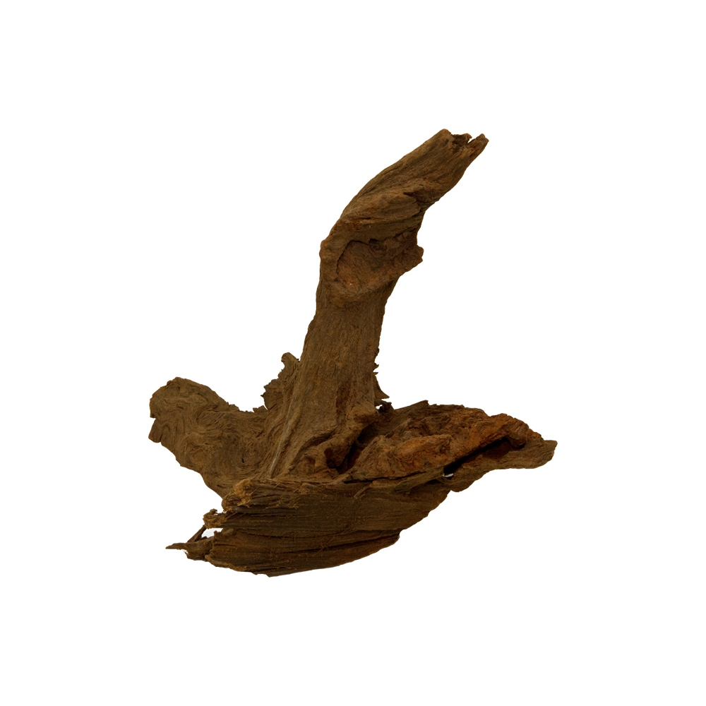 ESTES MALAYSIAN DRIFTWOOD ESTES MALAYSIAN DRIFTWOOD