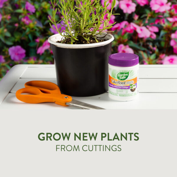 Garden Safe Take Root Rooting Hormone Powder 2 oz - Image 2