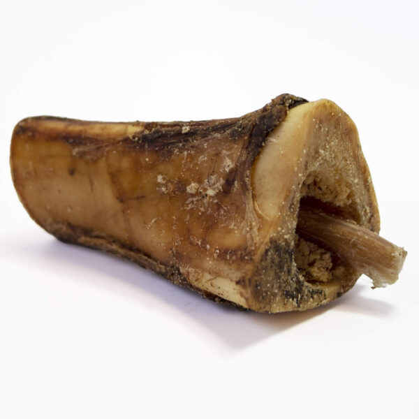 hdc-bully-bones-medium-14407-13209