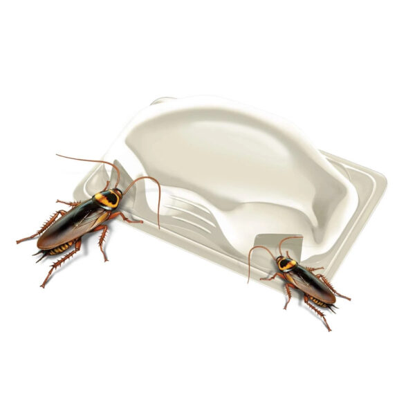 Hot Shot Roach Bait 12 count - Image 2