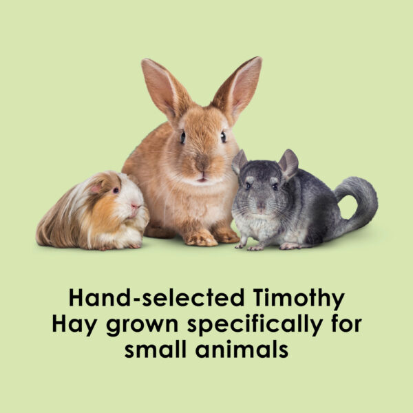 Kaytee Timothy Bales Small Animal Treat 24oz - Image 3