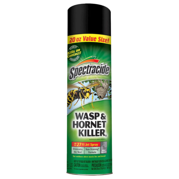 Spectracide Wasp & Hornet Killer 20oz