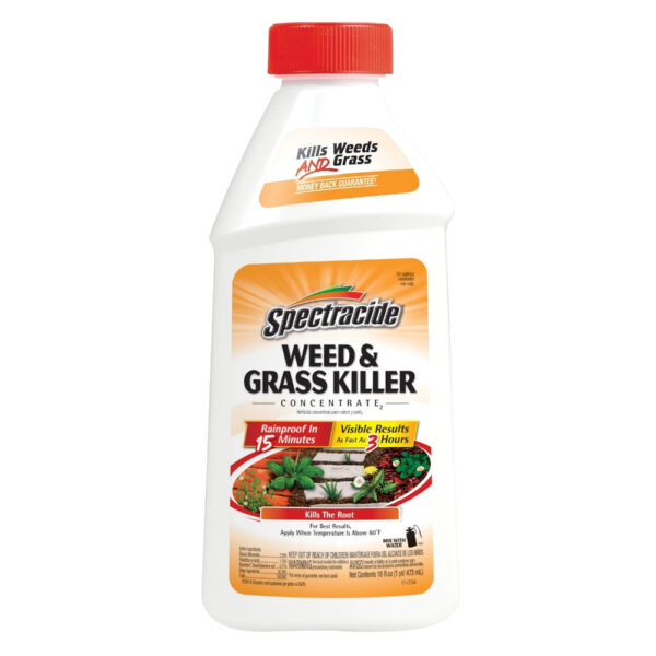 Spectracide Weed & Grass Killer 16 oz