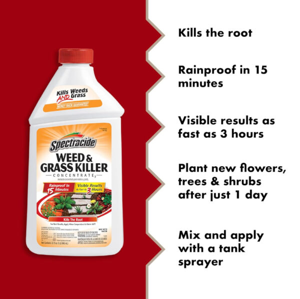 Spectracide Weed & Grass Killer 16 oz - Image 2