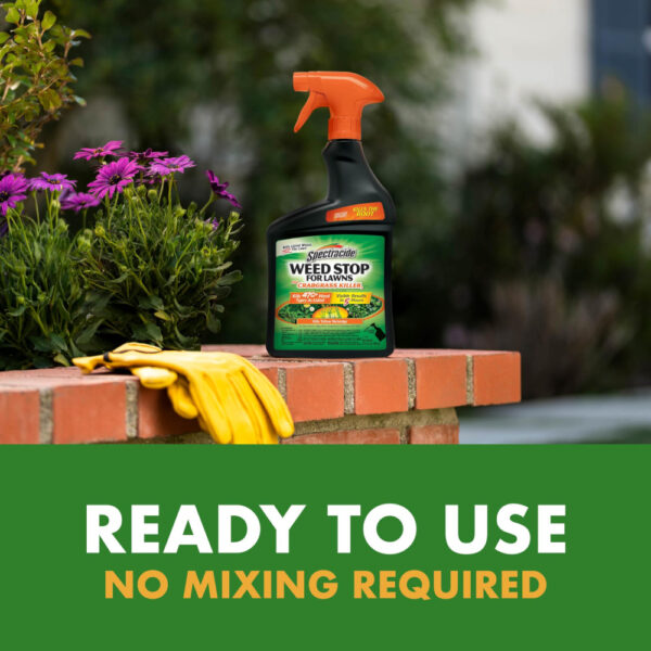 Spectracide Weed Stop PLUS Crabgrass 32 oz - Image 2
