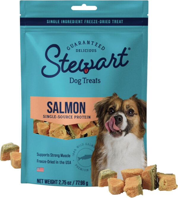 Stewart Freeze-Dried Salmon Pouch 2.75oz