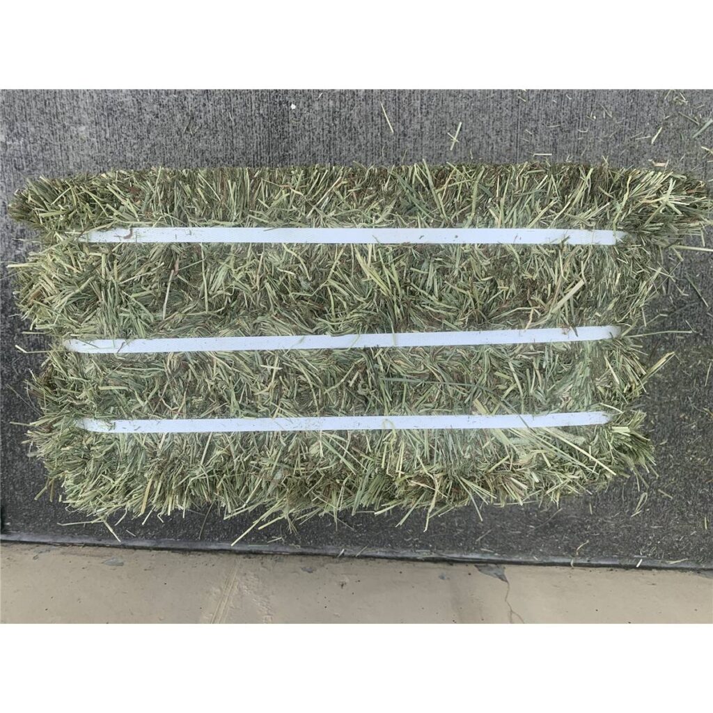 Timothy Hay Double-Compressed Bale 2nd Cut – Modernistic Garden and Pet ...