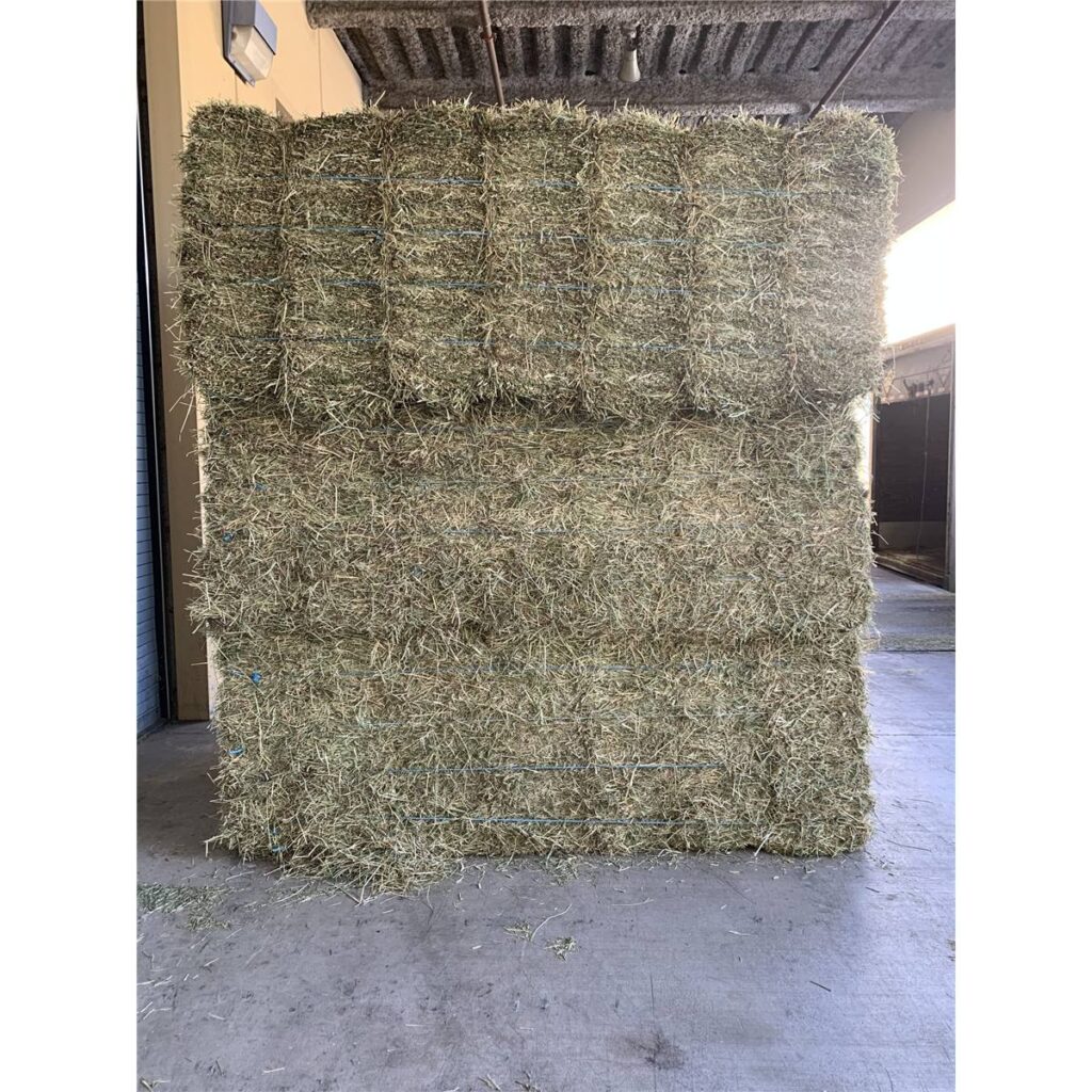 Timothy/Alfalfa Hay Double-Compressed Bale – Modernistic Garden and Pet ...